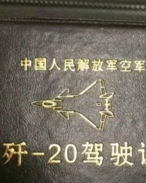 流浪无罪